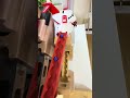 Marble Run is so exciting ⭐ Oddly Satisfying ASMR ④