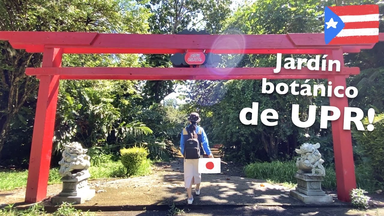 Encontré ⛩ en Jardín Botánico de UPR!｜Puerto Rico vlog YouTube