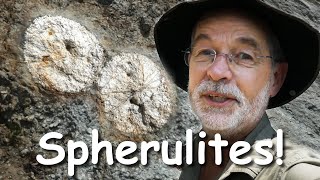 Detailed Huge Spherulites in Rhyolite Details