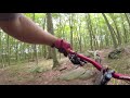 American Foxhound mountain biking??!! hooked up to a leash?? Fast!! の動画、YouTube動画。