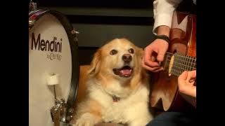 Star Wars Cantina Band w/ Maple on the Drums