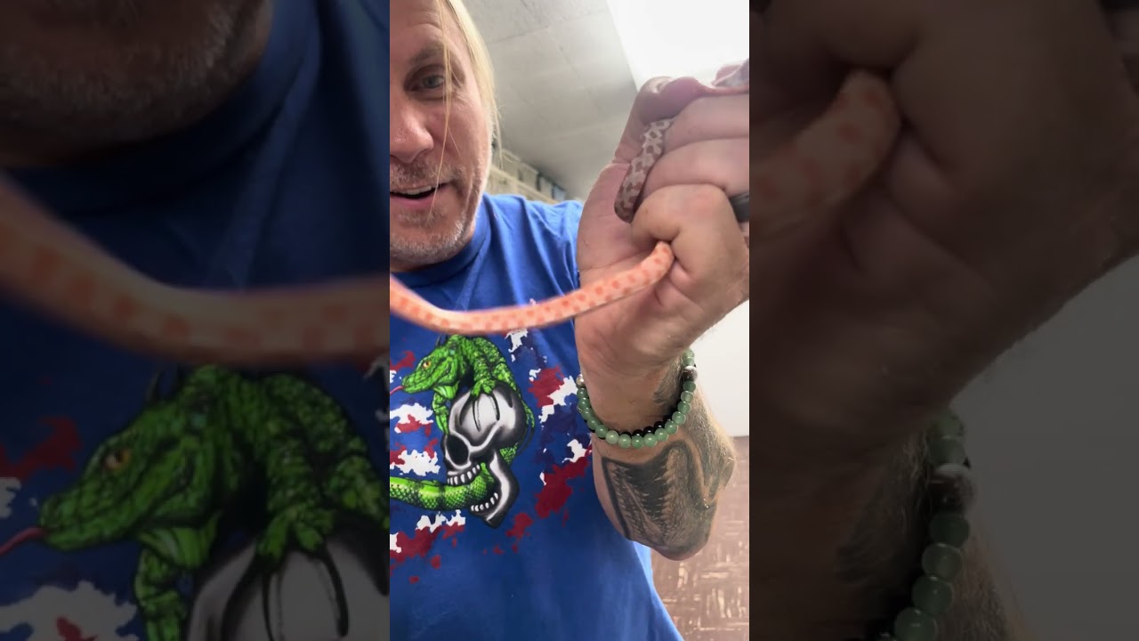 Baby Snake Bites My Finger