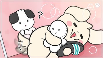 4 Biểu Hiện Cho Thấy Cún Cưng Yêu Bạn | 4 Signs Your Dog Loves You