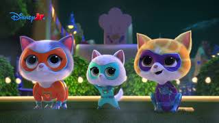 Miaucioween Superkoty Disney Junior Polska