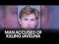 Arizona college baseball player accused of killing javelina with bat