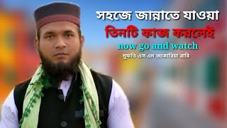 সহজে জান্নাতে যাওয়া, তিনটি কাজ করলেই জান্নাতে যাওয়া যাবে। মুফতি এস এম জাকারিয়া রাবি।sm Zakaria