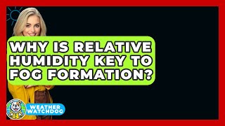 Why Is Relative Humidity Key To Fog Formation? - Weather Watchdog