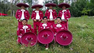 Video voorbeeld van "Mañanitas cristianas (Otro año feliz) mariachi Milagro del Rey"