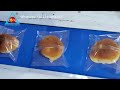 Automatic bread packaging machine