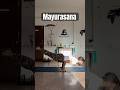 Mayurasana 2.0 #yoga #trending #shorts
