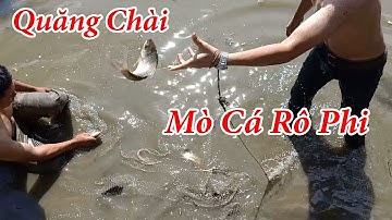 Quăng Chài Mò Cá Rô Phi - Chài Cá Cùng Anh Em | BL Tây Nguyên