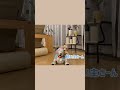 aiboがダンスを途中でやめた理由とは?【aiboのリュウくん】