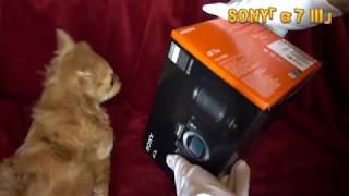 [4K 本日2018年3月23日発売] SONY「α7 III」 デジタル一眼カメラα（アルファ）ILCE-7M3 ILCE-7M3K ズームレンズキット 開封動画 Unboxing JAPAN