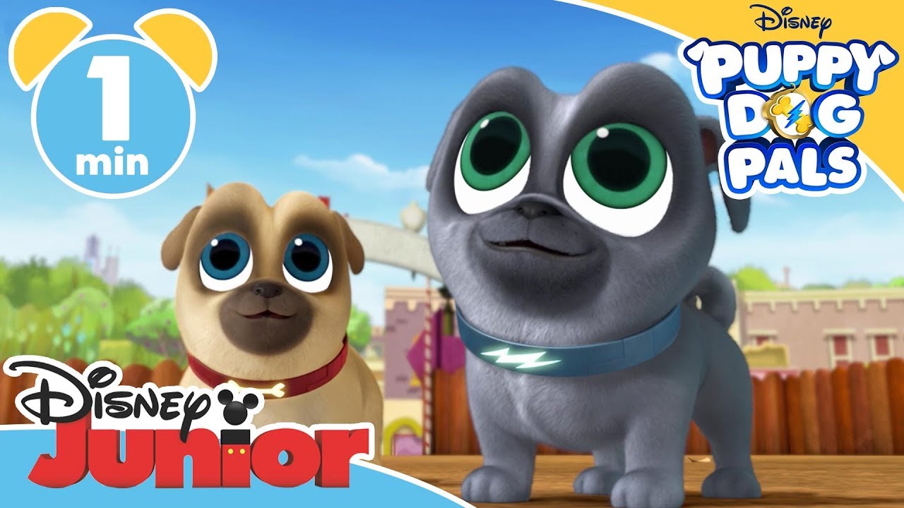 Puppy Dog Pals Song Four Leaf Clover Disney Junior Uk Youtube Disney Junior Pals Dogs And Puppies Puppy Dog Pals Song Four Leaf Clover Disney Junior Uk Youtube Disney Junior Pals Dogs And Puppies