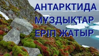 видео: АНТАРКТИДА ҚАНШАЛЫҚТЫ ТЕЗ ЕРІП ЖАТЫР? картинка: АНТАРКТИДА ҚАНШАЛЫҚТЫ ТЕЗ ЕРІП ЖАТЫР?