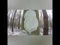 Видео с музыкой. Лес  Йети / Снежный человек / Леший / Bigfoot