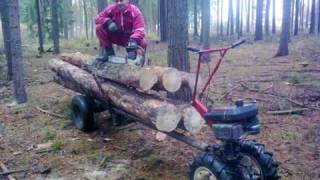 forwarder tera vari PART2