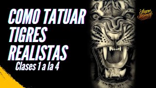 Como aprender a  TATUAR tigres realistas CURSO completo / Clases seguidas 1 a la 4