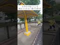 小学生の鬼ごっこで捕まえられない逃げ方第1位#小学生#小学生あるある#鬼ごっこ