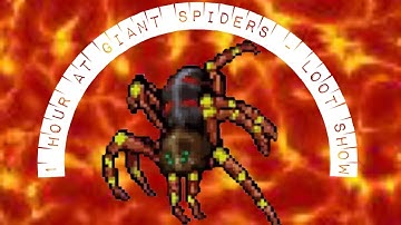 1 Hour Loot At Giant Spiders In Plains Of Havoc [TIBIA]