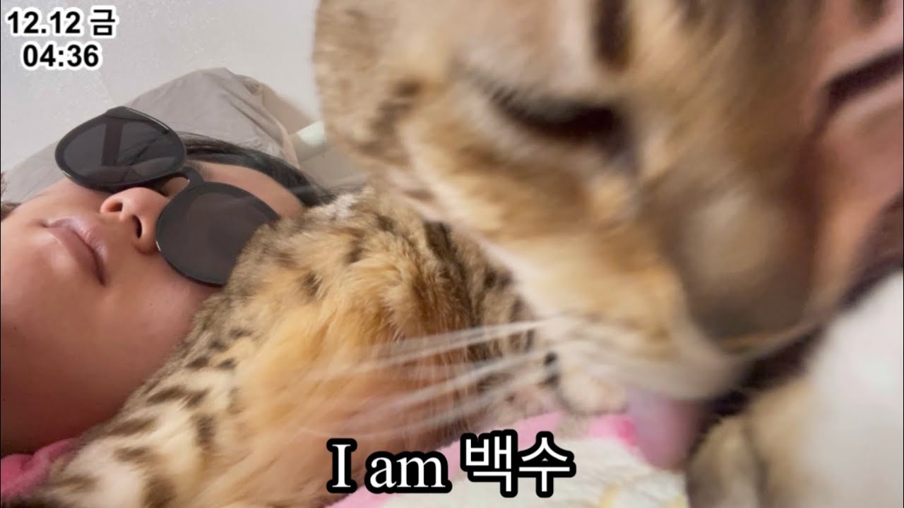 집순이가 심심하지 않은 이유