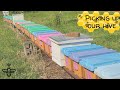 How to set up a Langstroth beehive explained ~ Step by Step Farming