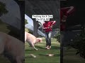 Fake NPC Trolls Players