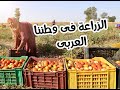 الزراعة فى وطننا العربى تانية اعدادى الترم التانى الزراعة فى وطننا العربى تانية اعدادى الترم التانى