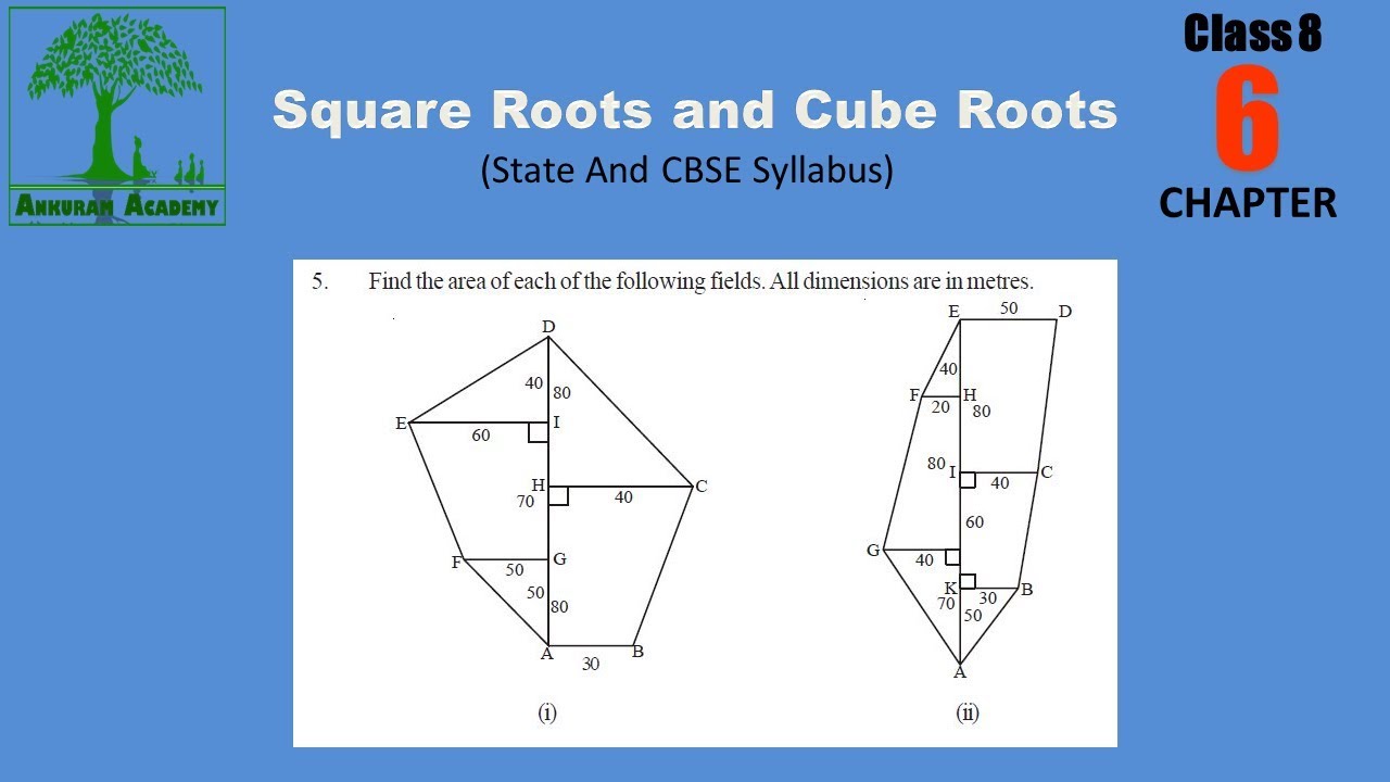 Class 8 Area of Plane Figures Exercise - 9.1 State and CBSE Syllabus