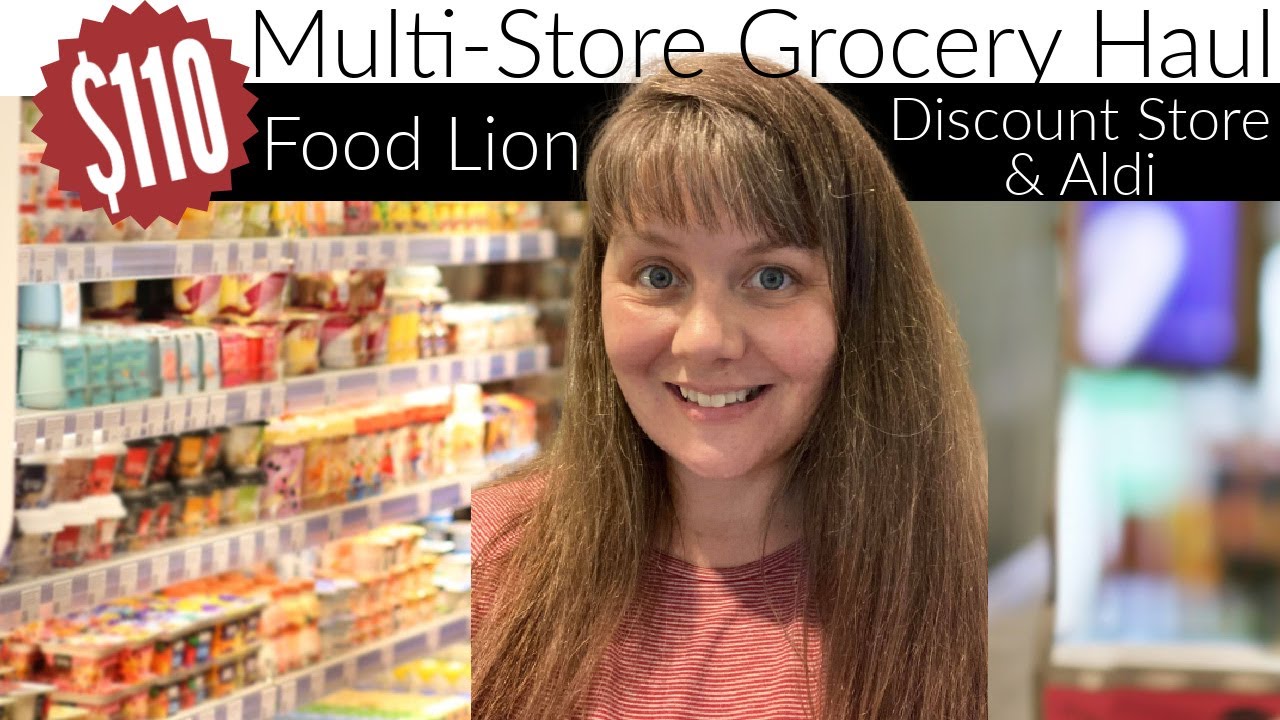 110 MultiStore Grocery Haul Food Lion, Aldi, Discount Grocery YouTube