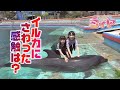 イルカさんとふれあい体験♪ 花の妖精さんたちは、どこまで仲良くなれたかな？イルカの身体をさわってみた感想は？最高の想い出になりましたよ～♪【大黒イルカランド:体験❽】