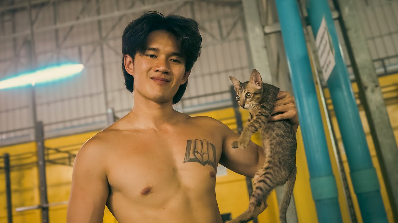 This Stray Kitten Keeps Pooping In My Bed YouTube this-stray-kitten-keeps-pooping-in-my-bed-youtube