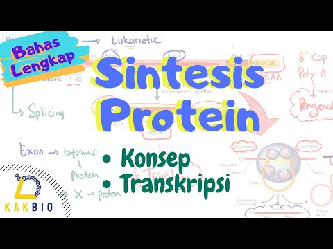 Video: Mengapakah semua sel perlu melakukan sintesis protein?