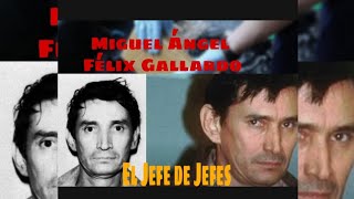 Drugs Gangs and Crime Miguel Angel Felix Gallardo