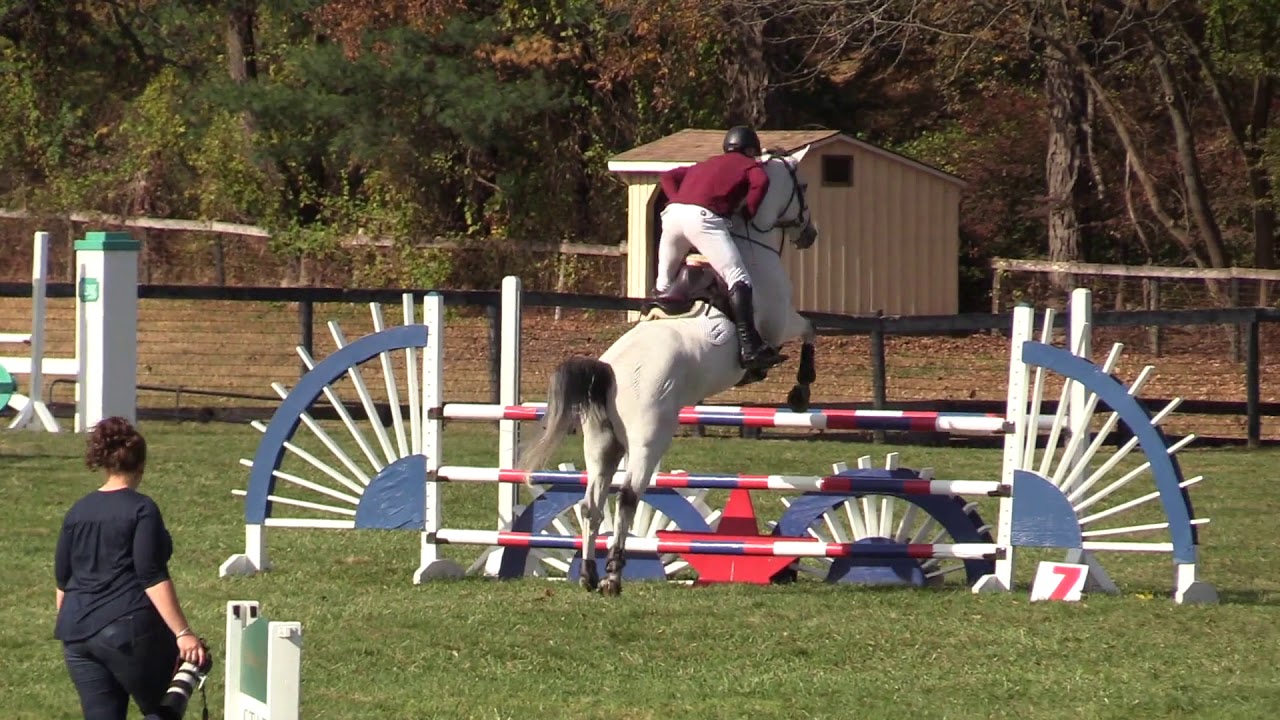 Jai Eu Ce ridden by Ragan Roberts 2nd round Bedford Cup 10/26/19 YouTube