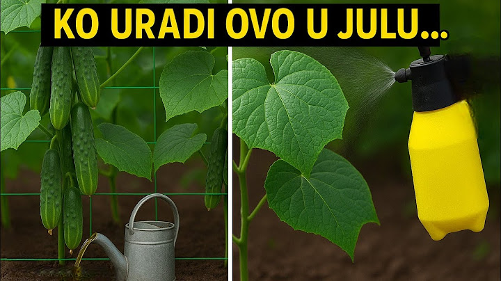 Whoever DOES this in July - Picking Cucumbers until September!