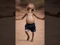 😬 Mi Quito bailando más feliz que yo un viernes 😅🔥¿Quién más quisiera esa energía? ❤️🕺#viral