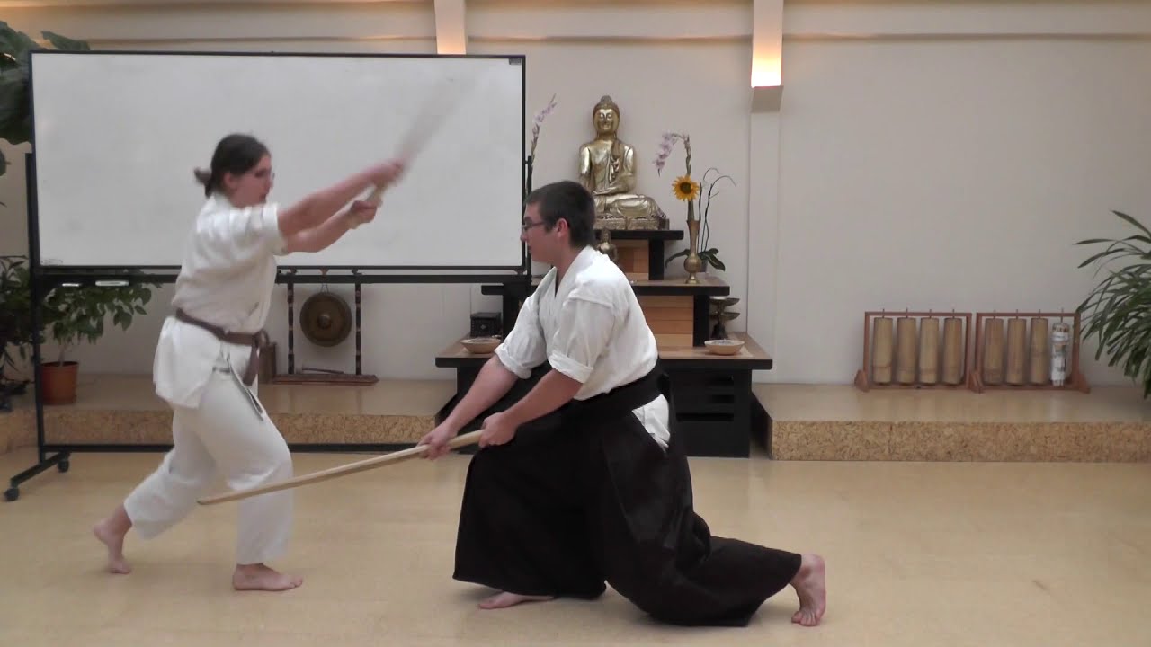 Jikishin Kage-ryu Kenjutsu bemutató 2013 09 28
