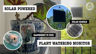 Solarpowered Raspberry Pi Pico plant watering monitor project