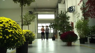 3D rig with TECHNODOLLY