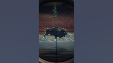 Huge Diamond plains bison💎💎💎