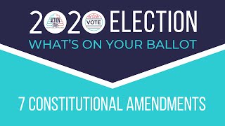 Whats On Your Ballot: 7 Constitutional Amendments