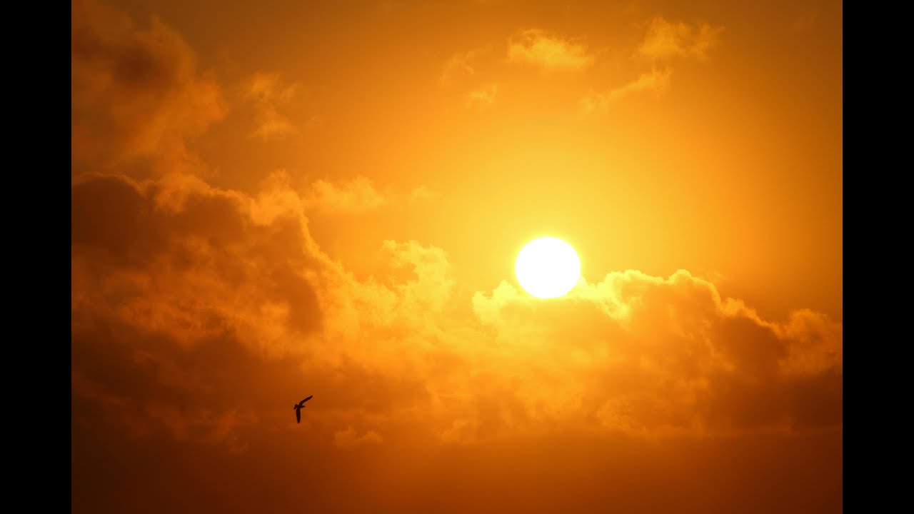 No More by Nick Ryder