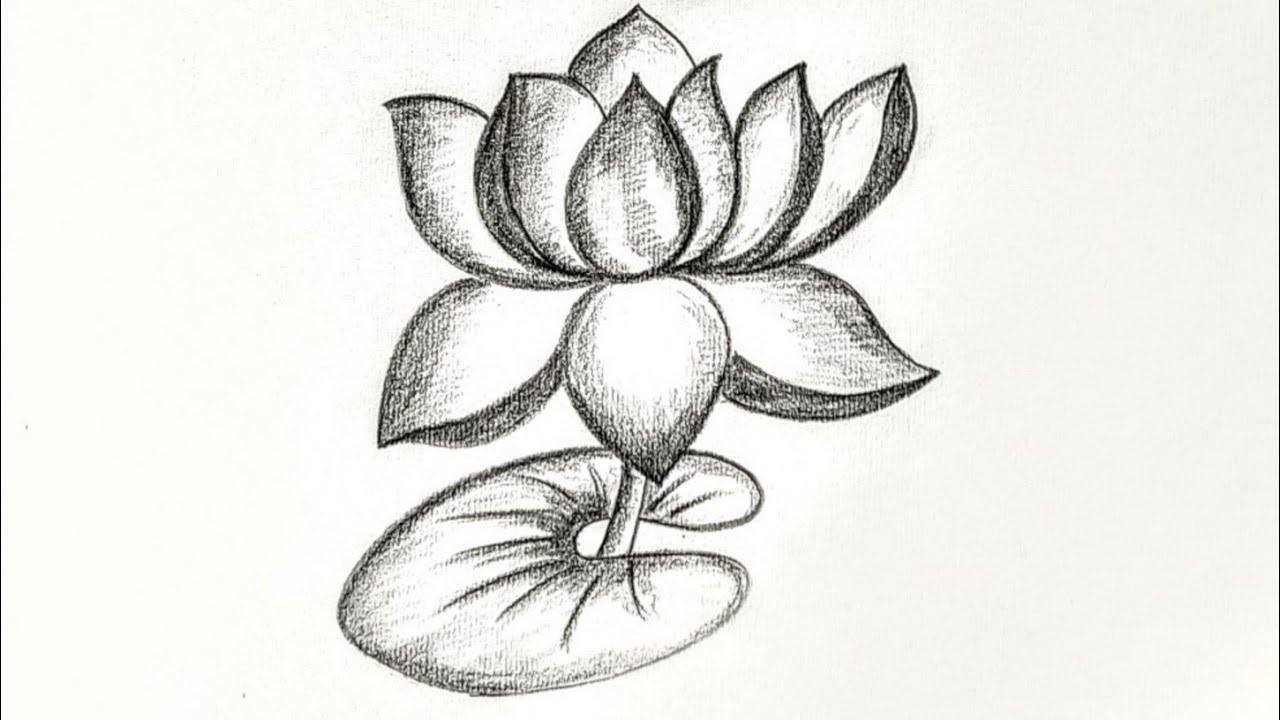Vishwaroopam 2 Kamal Drawing | Pencil Sketch | Pencil drawings, Pencil  sketch, Pencil sketch drawing