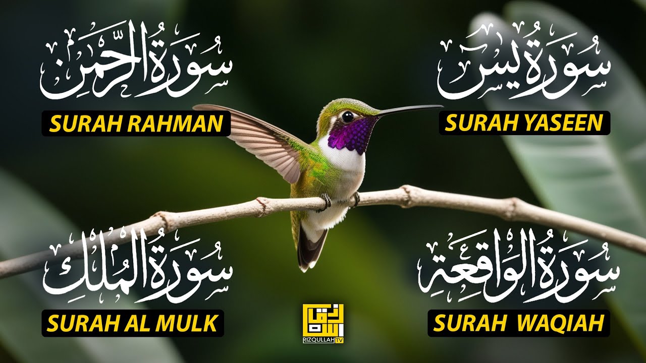 The Best Recitation Surah Yaseen (Yasin) | Surah Rahman | Surah Waqiah | Surah Mulk EP139