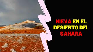 NIEVE EN EL SAHARA 2021 | NUEVA NEVADA DESDE HACE 40 AÑOS