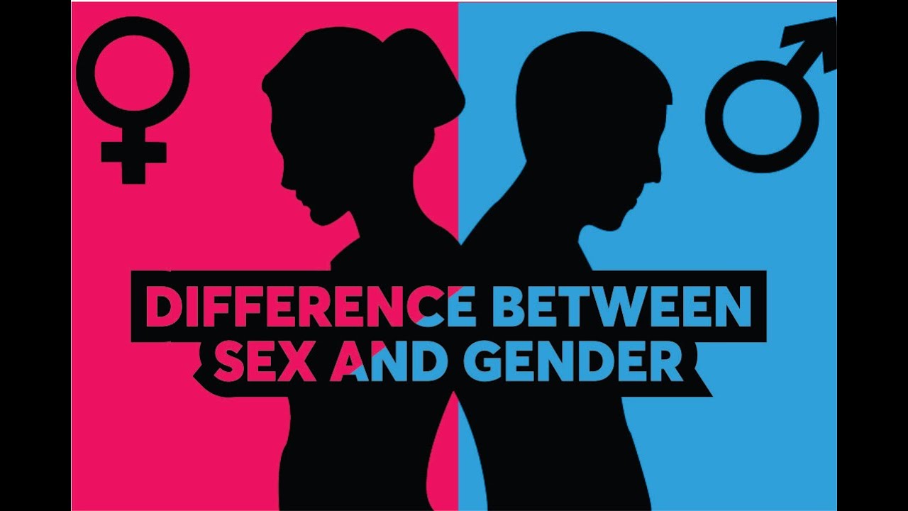 Sex And Gender Differences Gender And Sex Are Different 2020 