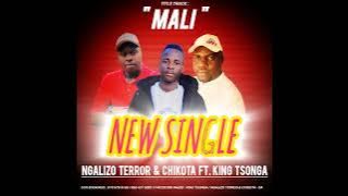 Ngalizo Terror & Chikota FT King Tsonga - Mali