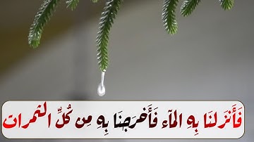 وَهُوَ الَّذِي يُرْسِلُ الرِّيَاحَ بُشْرًا بَيْنَ يَدَيْ رَحْمَتِهِ#سورة_الأعراف #رعد_الكردى#واتس اب