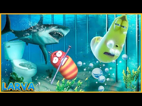 #1 Larva and shark🦗 Larva Funny Cartoon 🌷Larva Terbaru 2022🌴 Funniest Cartoons 🍉Larva Tuba Show Mới Nhất